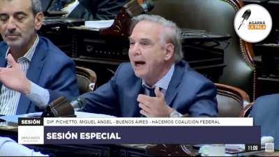 Diputado Pichetto: 