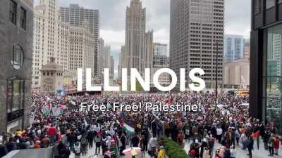 The majority of the American people are not with you on this one. - Rashida Tlaib