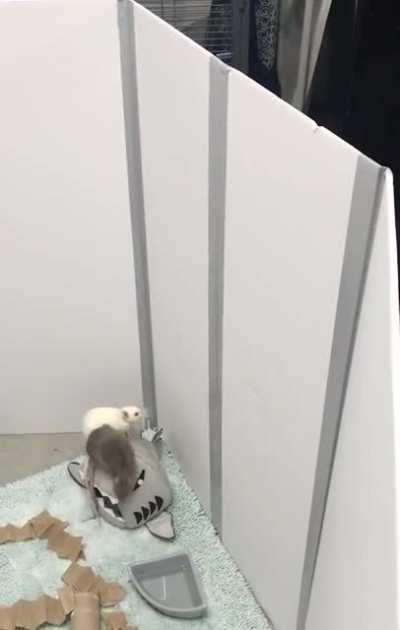 There was an attempt