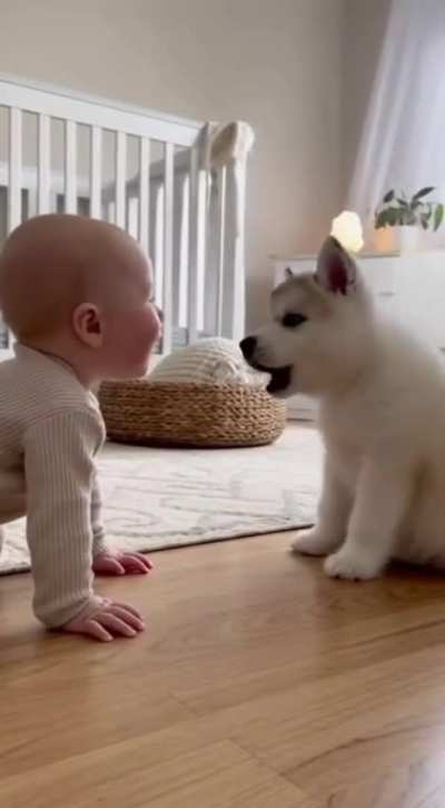 ZKN: Purest form of communication: woof for woof