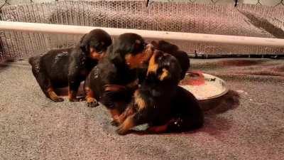 1st time for everything.. eating on their own is definitely an experience.. they'll eventually master this!