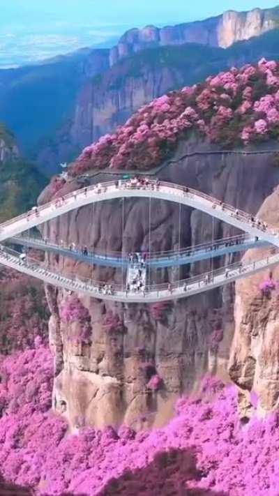 How amazing is this?