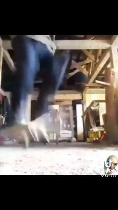 PedroDBR - Video #8707