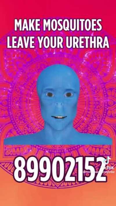 Do you have mosquitoes?