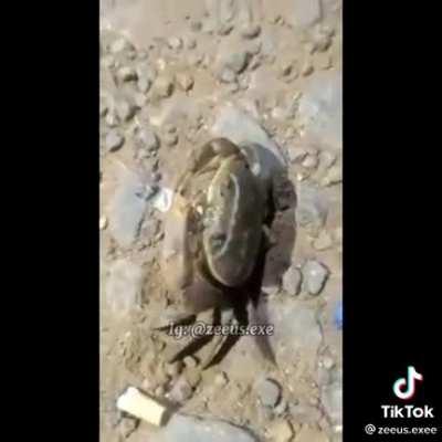 Terrible epico User: Zeryes89