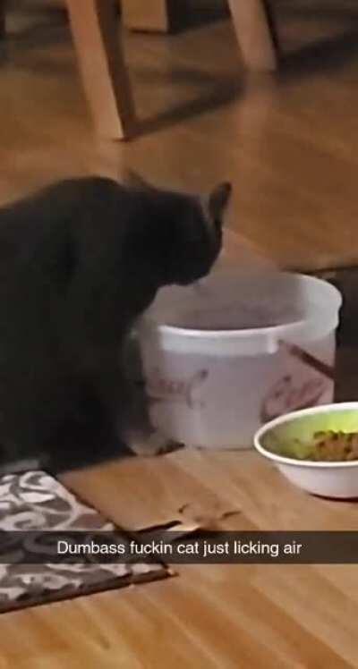 Dumbass fuckin cat just licking air