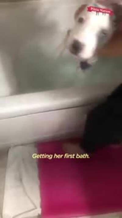 Woman nurses a tetanus paralyzed puppy back to health.