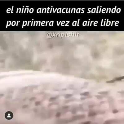 saben si esta bien el tipo?