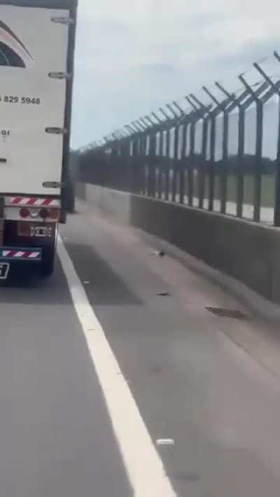 Amaroki se desprende de lo innecesario para tomar el sendero de la banquina