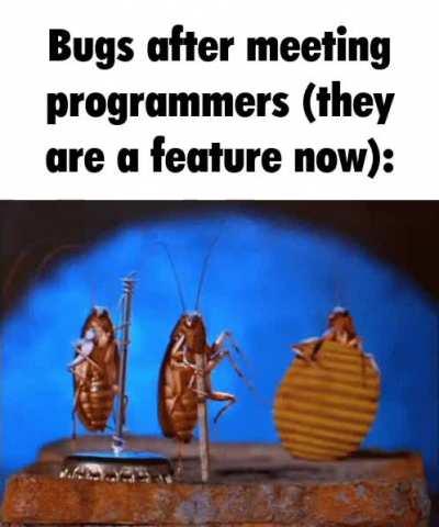 no bugs, only feature