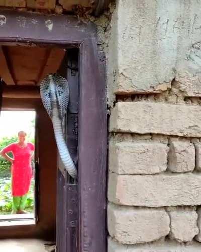 “You sssssshall not passsss!”