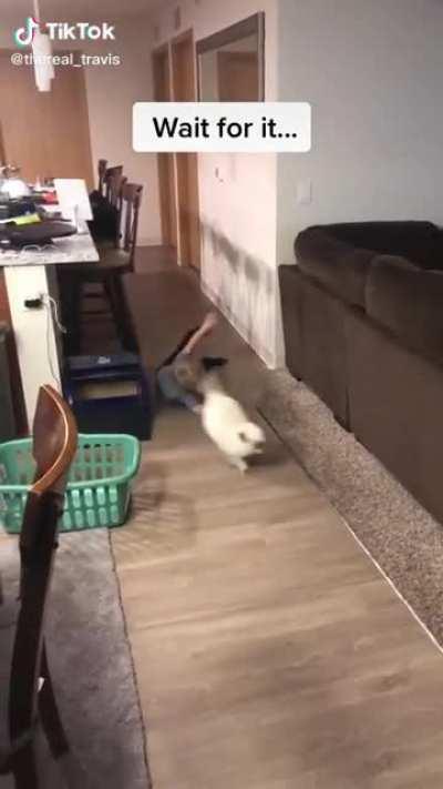 Heh heh... are you ok? 😅