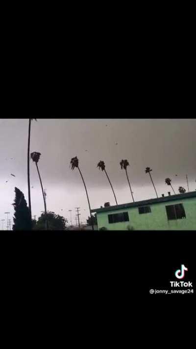 Unexpected in South Central.