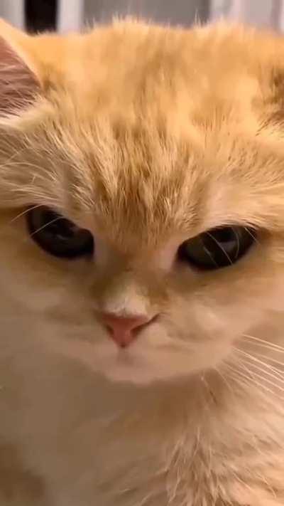 Why don't you feed me instead of holding my hand