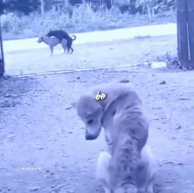 That Should Be Me.MP4