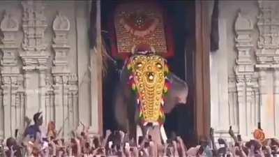 India's tallest elephant: Thechikkottukavu Ramachandran.