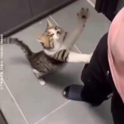 I can't stop laughing