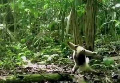 WOW WOW WTF was that? WTF was that?... Ok we are good to go