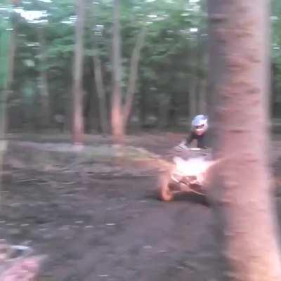 WCGW tapping dead Wood