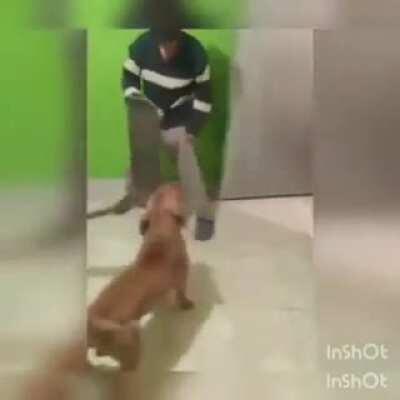 Just a normal friday