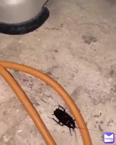 A well deserved death