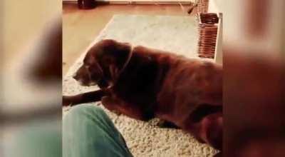 Да что за дом такой?