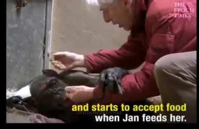 This is Monke moment