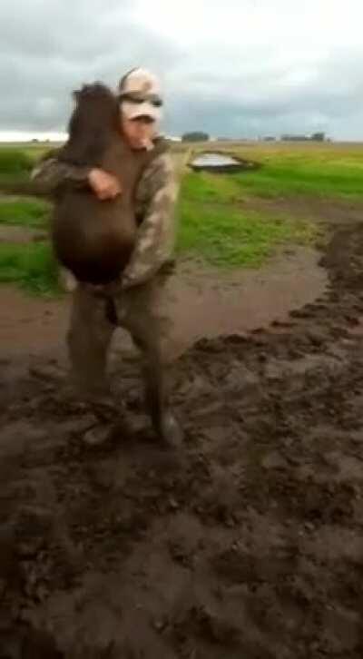 Mas bah gurizes cá em Porto as capivaras são baguais assim mesmo né tchê