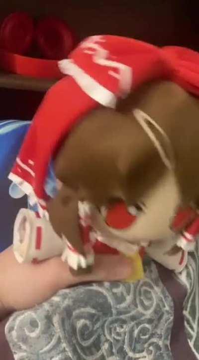 Hey everyone Reimu is better now but she’s going back to sleep for a better start tomorrow