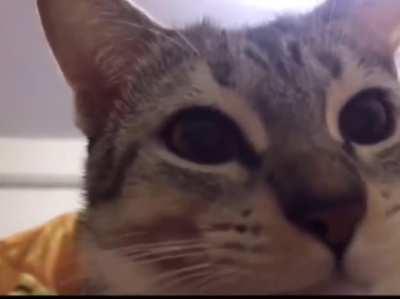 Preparing for take off