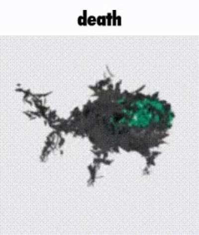 Favourite character that is basically just 'if you look at it, you die (extra Favorite added in because I wanted to spell the word the way it's spelled in the country that I live in first)