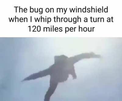 We're going for a ride