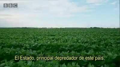 Por las dudas aclaro que el video no lo hizo la BBC. Pero todo lo que ve es real, para este gobierno, el anterior o el próximo.