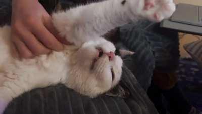 Scrounge powering up