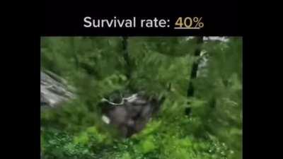 I’d survive that 🔊❌