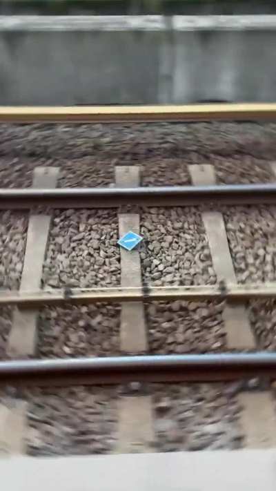 Worthy edit for our beautiful Lely