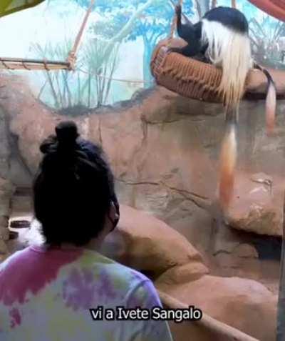 Piexie no acuario 🐟😎