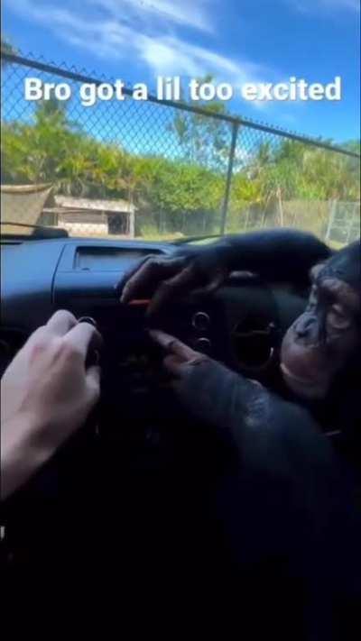 All Halo OST's are a bop