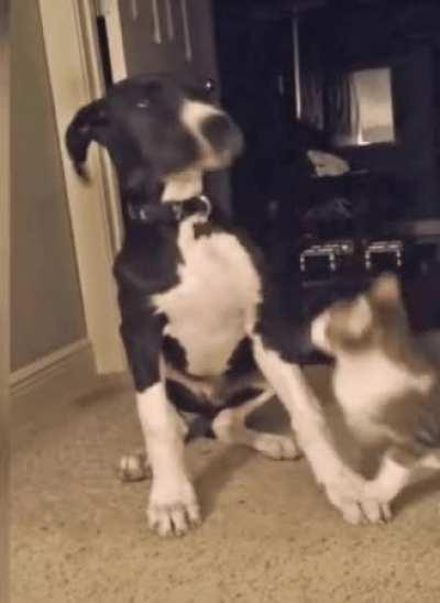 Love you. ASSHOLE. Love you.