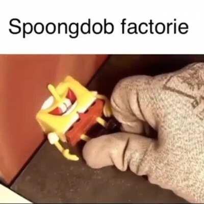 Spunch bop fucking lives