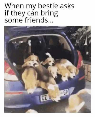 The more the merrier!