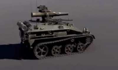 Horizontally Spinning Rat