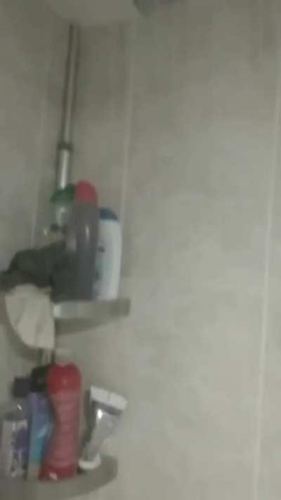 Yall ever turn on the shower?