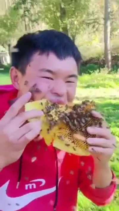 to get rid of bees from honey
