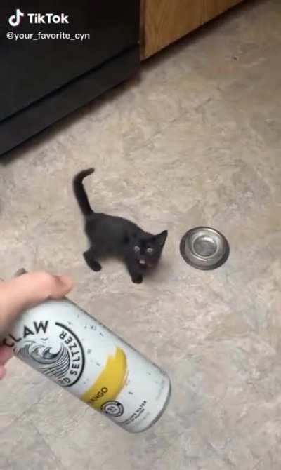 Meow🍺IRL