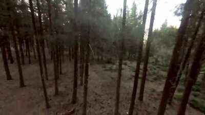 POV: Levi Ackerman flexin ODM Gear