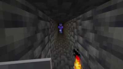 Primero una categoría de Hot Tub, luego en la categoría de ASMR. Ahora en la categoría de Minecraft... ¿En serio, Twitch?