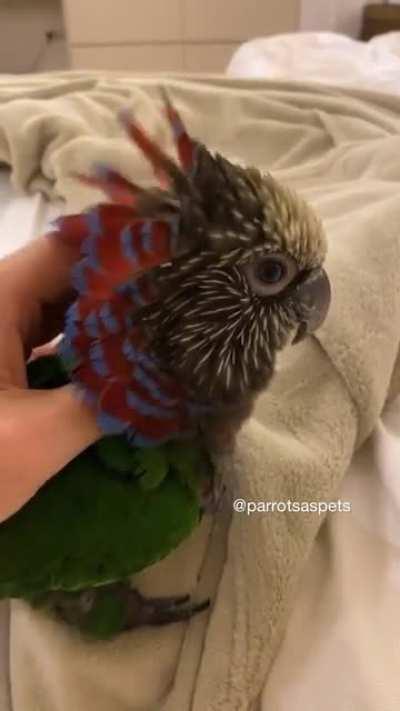 Throwback to when Hoky was a baby!