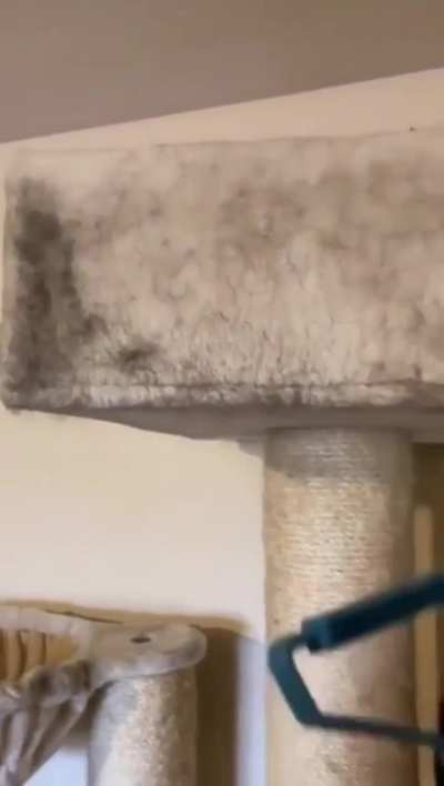 Kitty is shocked by the results.