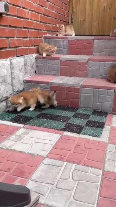 An all-out war on greebles